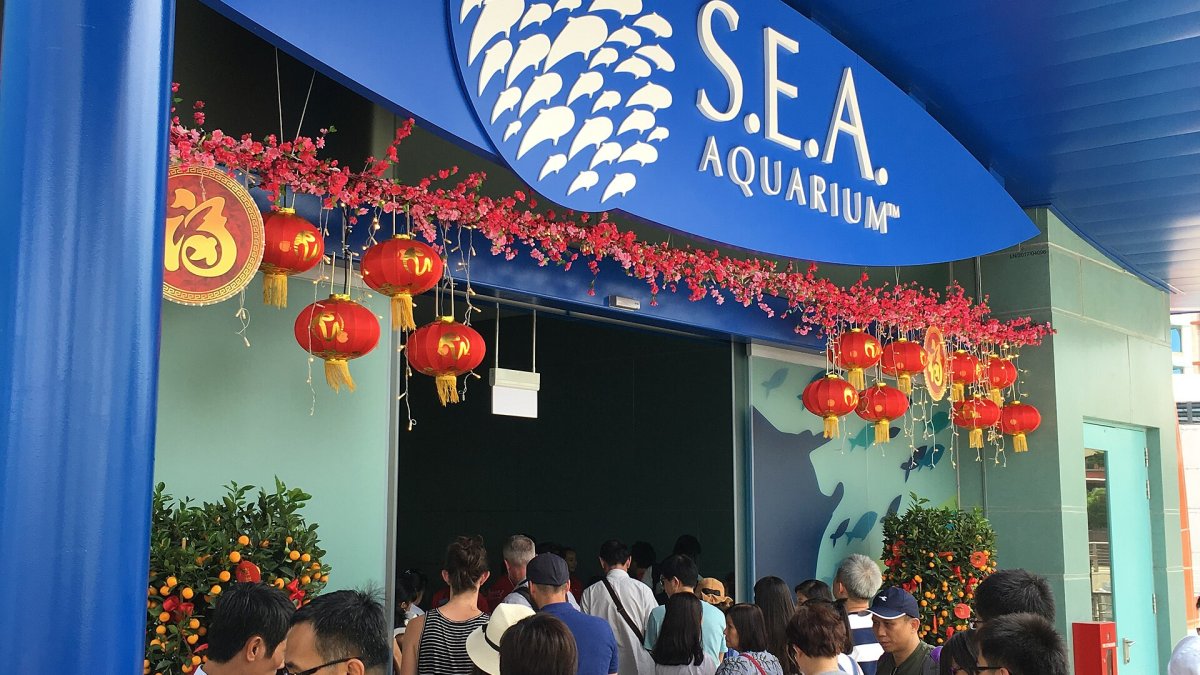 SeaWorld Tickets 2026: Prices & Deals Guide SeaWorld tickets and deals - family at the marine theme park