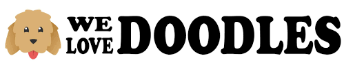 We Love Doodles
