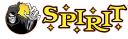 Spirit Halloween
