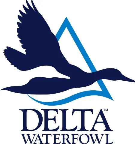 Delta Waterfowl