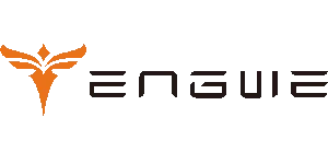Engwe Others coupon codes 2026