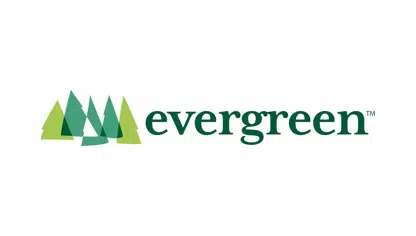 Evergreen