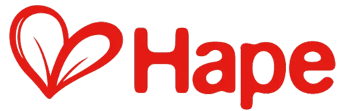 Hape Toys